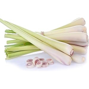 LEMON GRASS(SEREH)