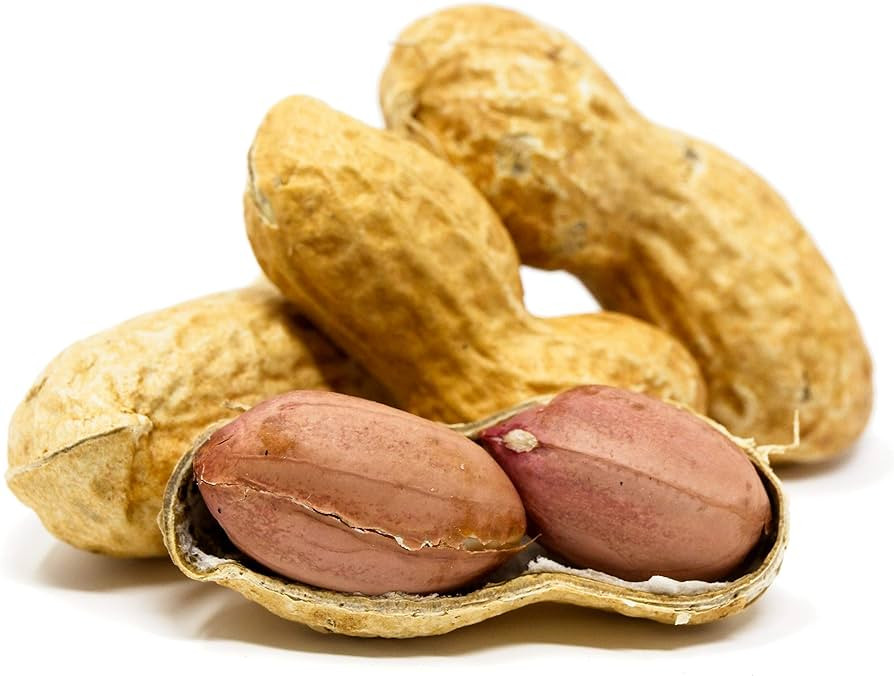 ROASTED PEANUT WITH SKIN
