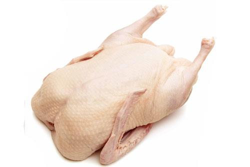 DUCK 1.8KG