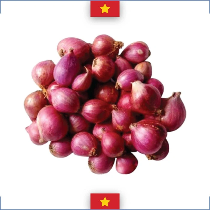 MINI ONION 2(bawang merah)