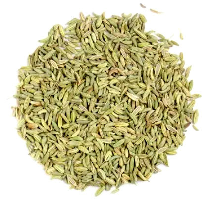 FENNEL SEED