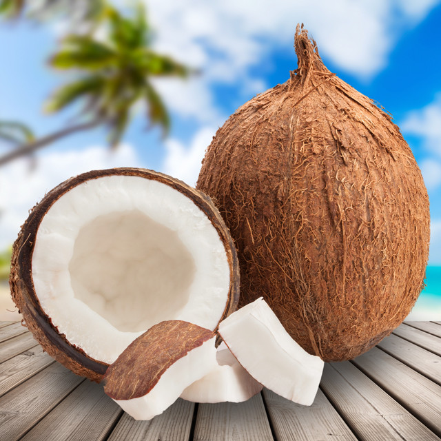 DRY COCONUT