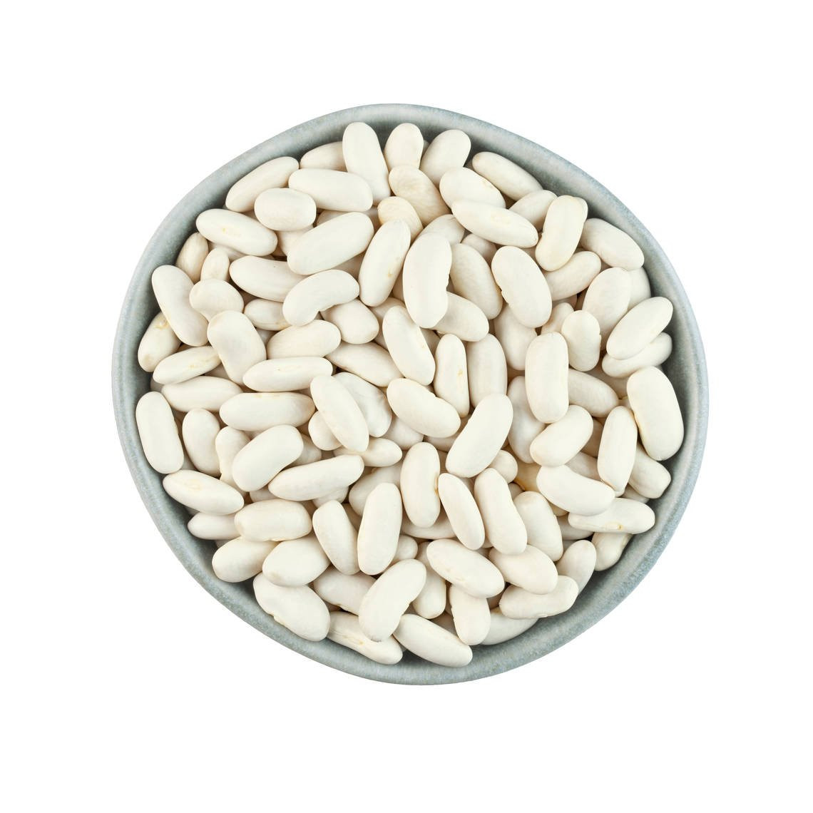 WHITE KIDNEY BEAN